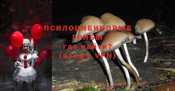 каннабис Абаза