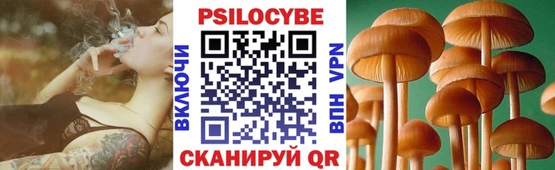 где купить наркотик  Ряжск  Галлюциногенные грибы GOLDEN TEACHER 